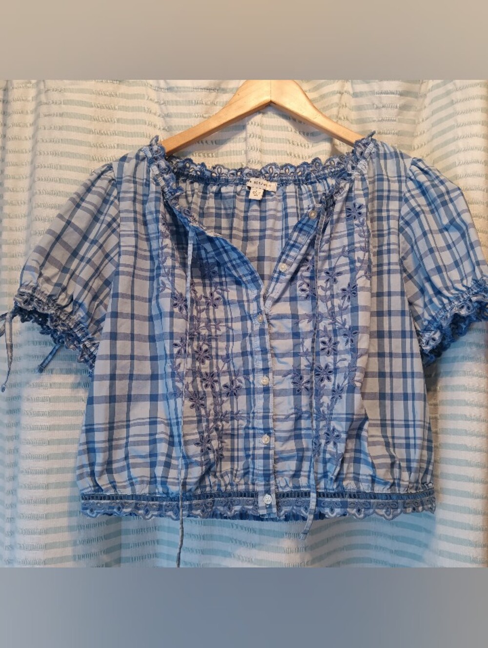Cropped Blue Plaid Embroidered Peasant Blouse Eyelit Trim Ruffled Sleeves